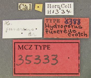 Media type: image;   Entomology 35333 Aspect: labels